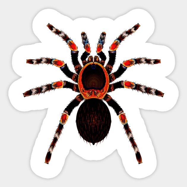 Funky Tarantula Spider Sticker by crunchysqueak